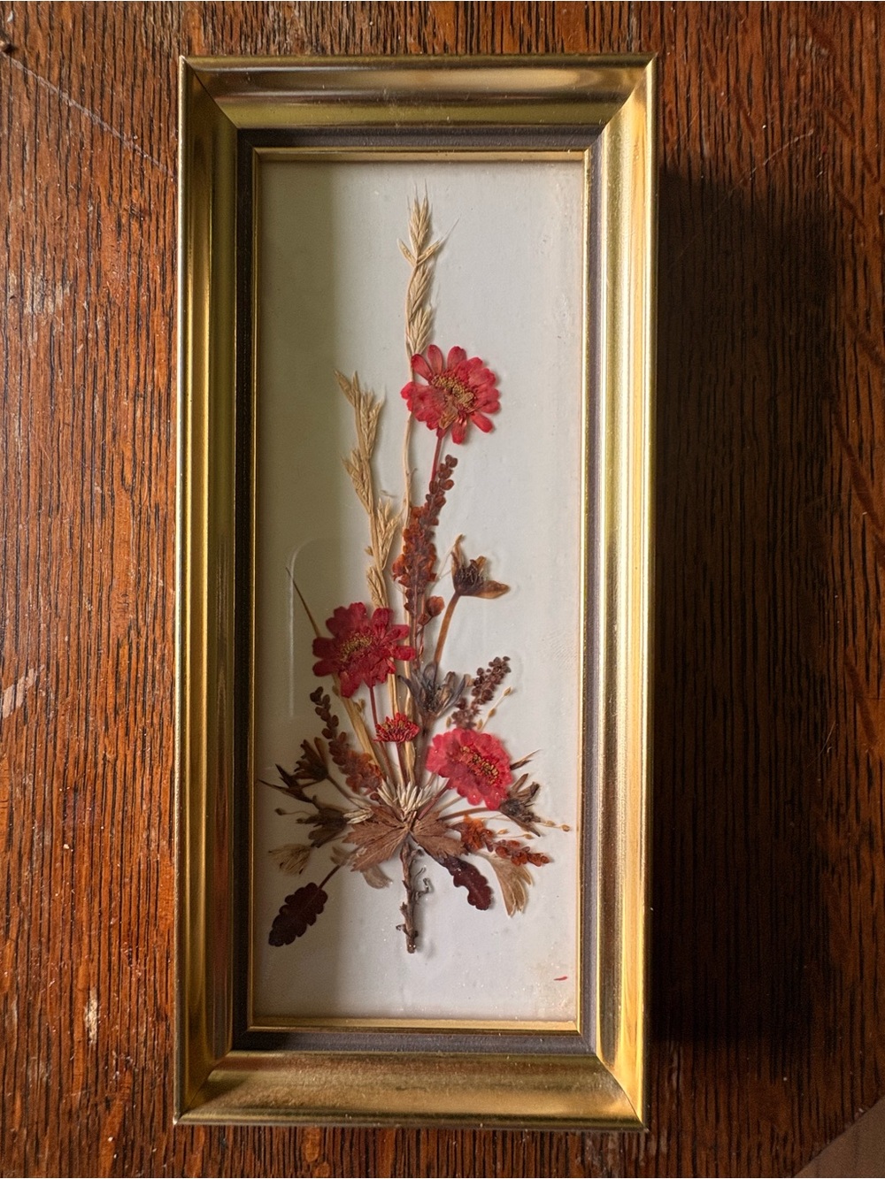 Vintage Reichlin Swiss Framed Pressed Flower Art Botanical Mid Century